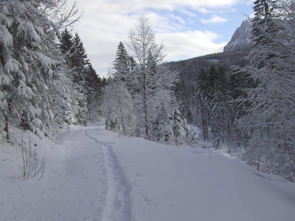 Ferienwohnung Am Roemerweg Wald インツェル エクステリア 写真