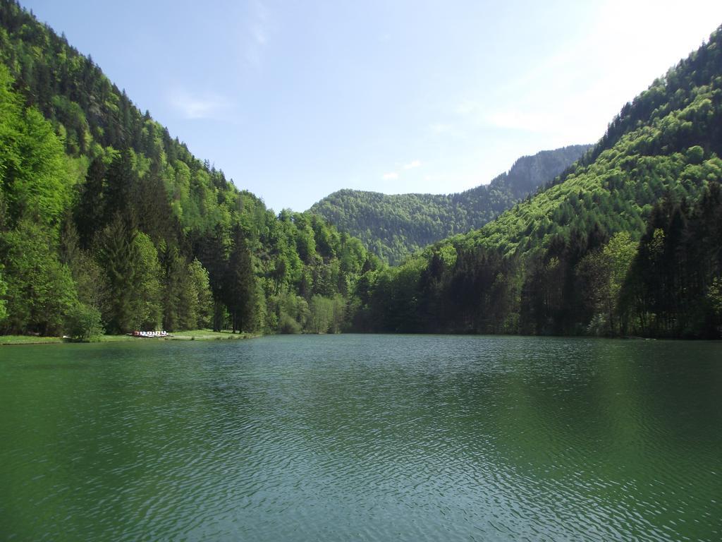 Ferienwohnung Am Roemerweg Wald インツェル エクステリア 写真