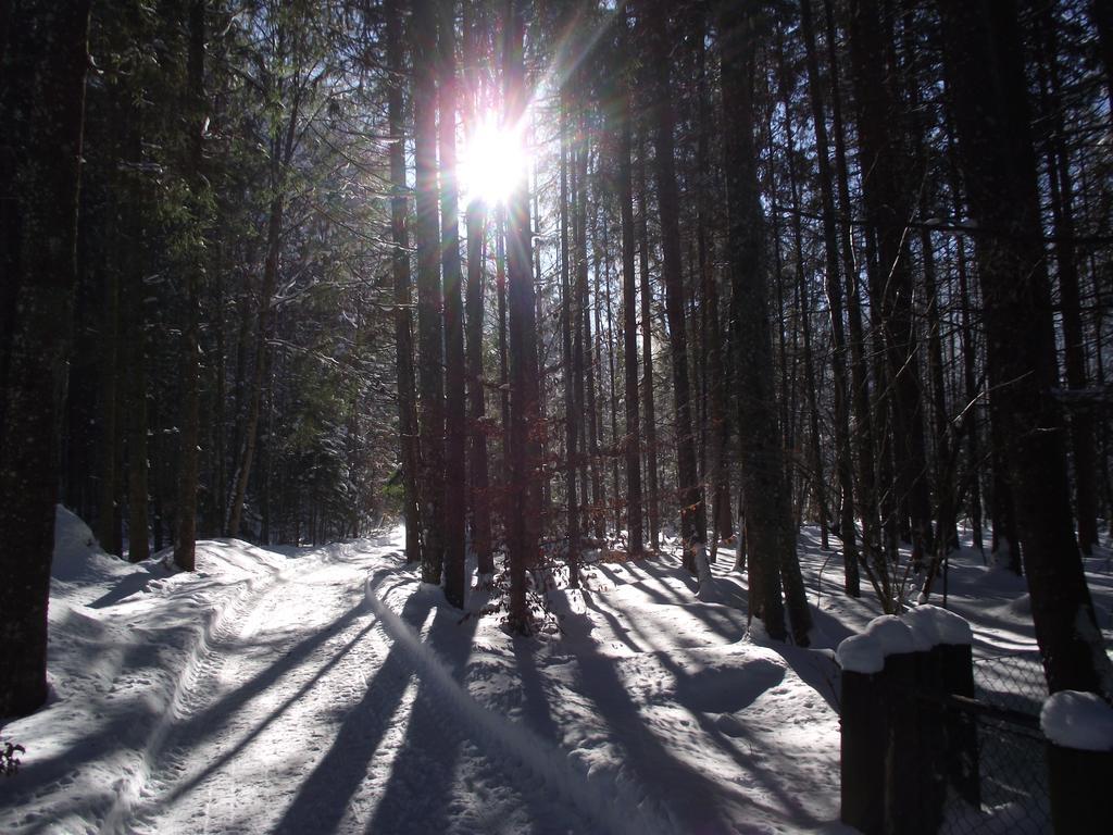 Ferienwohnung Am Roemerweg Wald インツェル エクステリア 写真