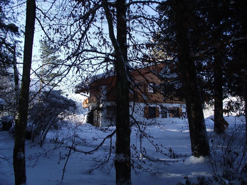 Ferienwohnung Am Roemerweg Wald インツェル エクステリア 写真